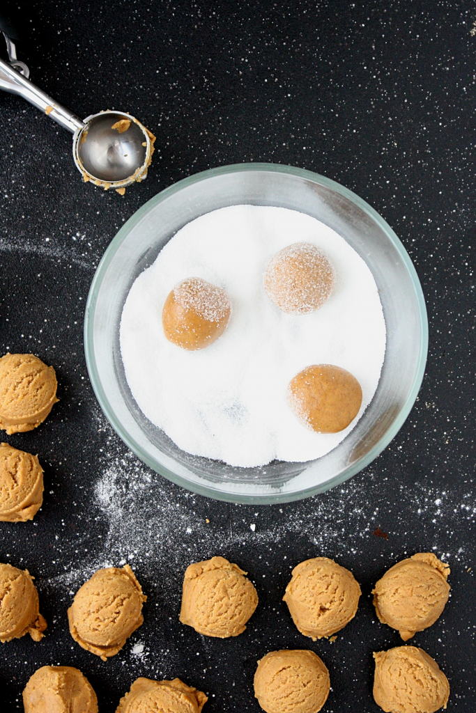 Holiday Favorite Ginger Snap Cookies