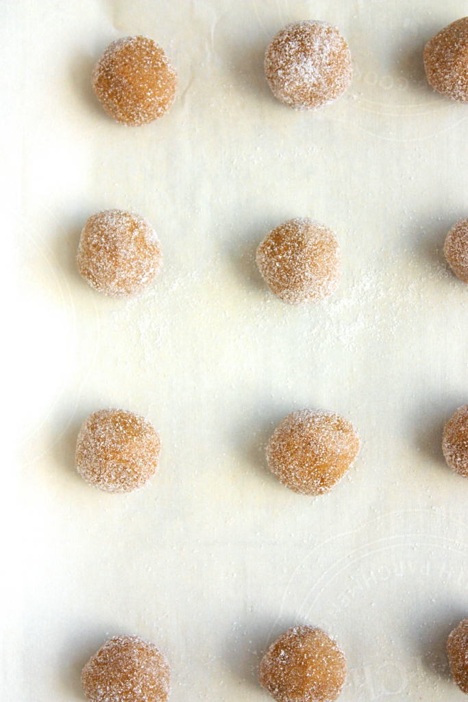 Holiday Favorite Ginger Snap Cookies