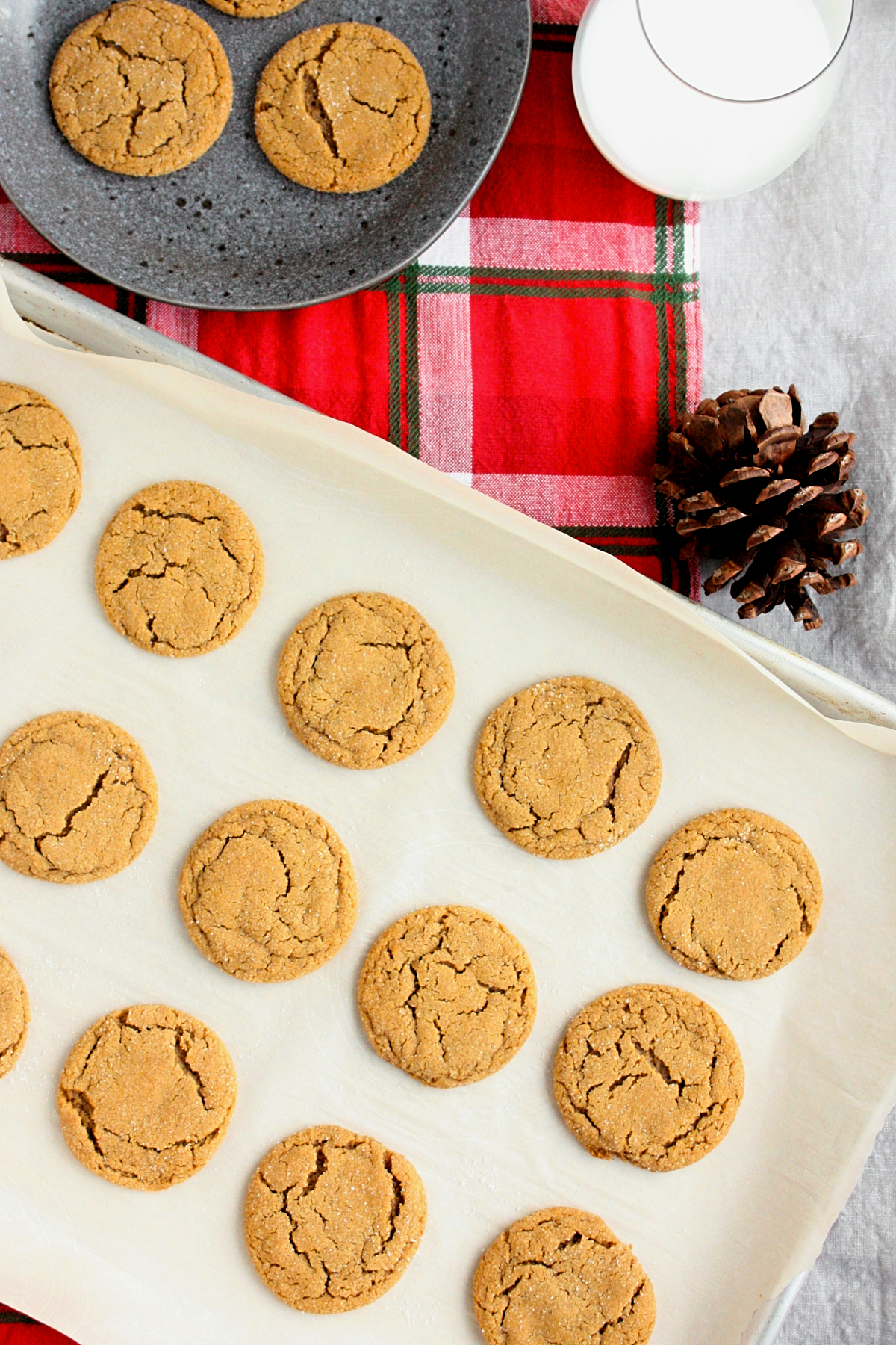 ginger snap cookies