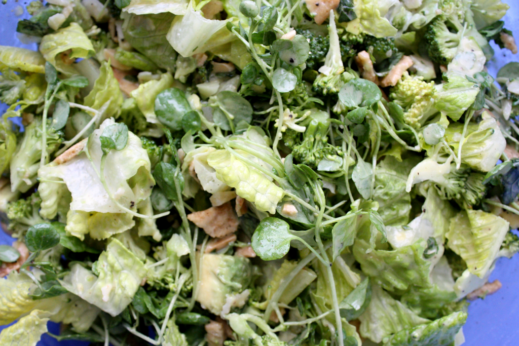 FAVE Green Salad