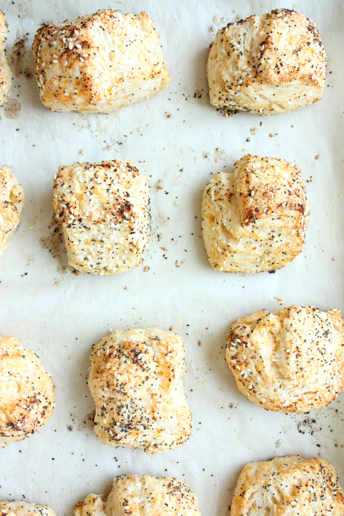 buttery all dressed cheddar biscuits