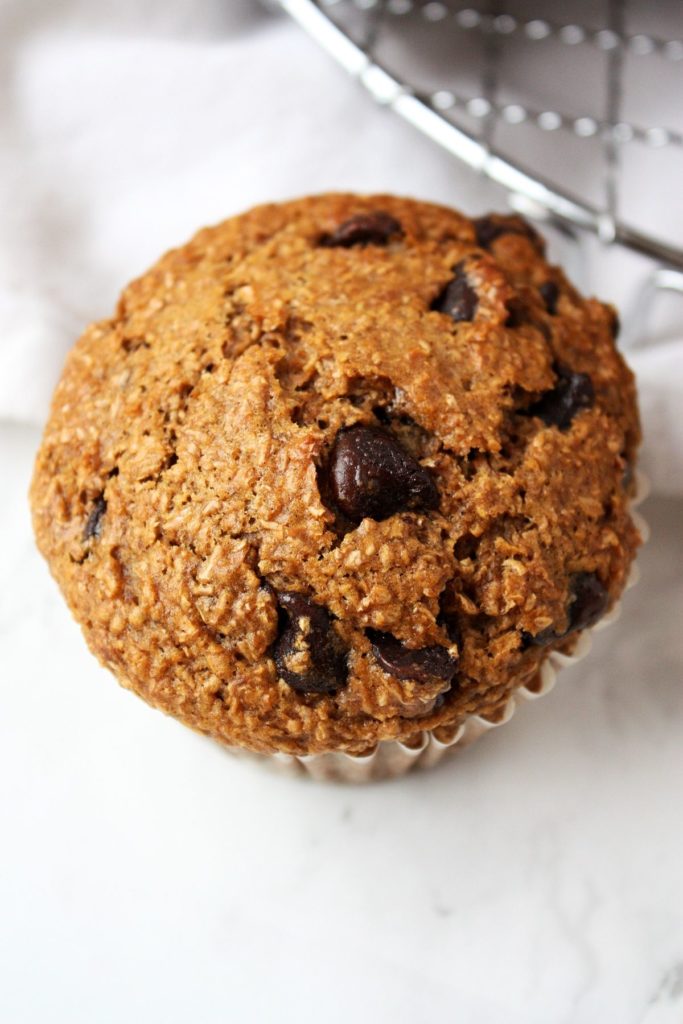 Close up of one chocolate chip bran muffin.